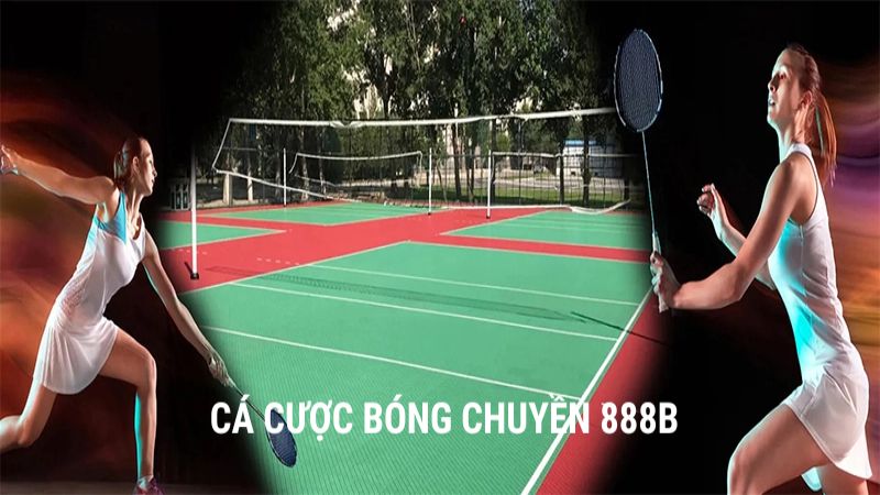 Bóng chuyền 888B là bộ môn được nhiều hội viên tham gia